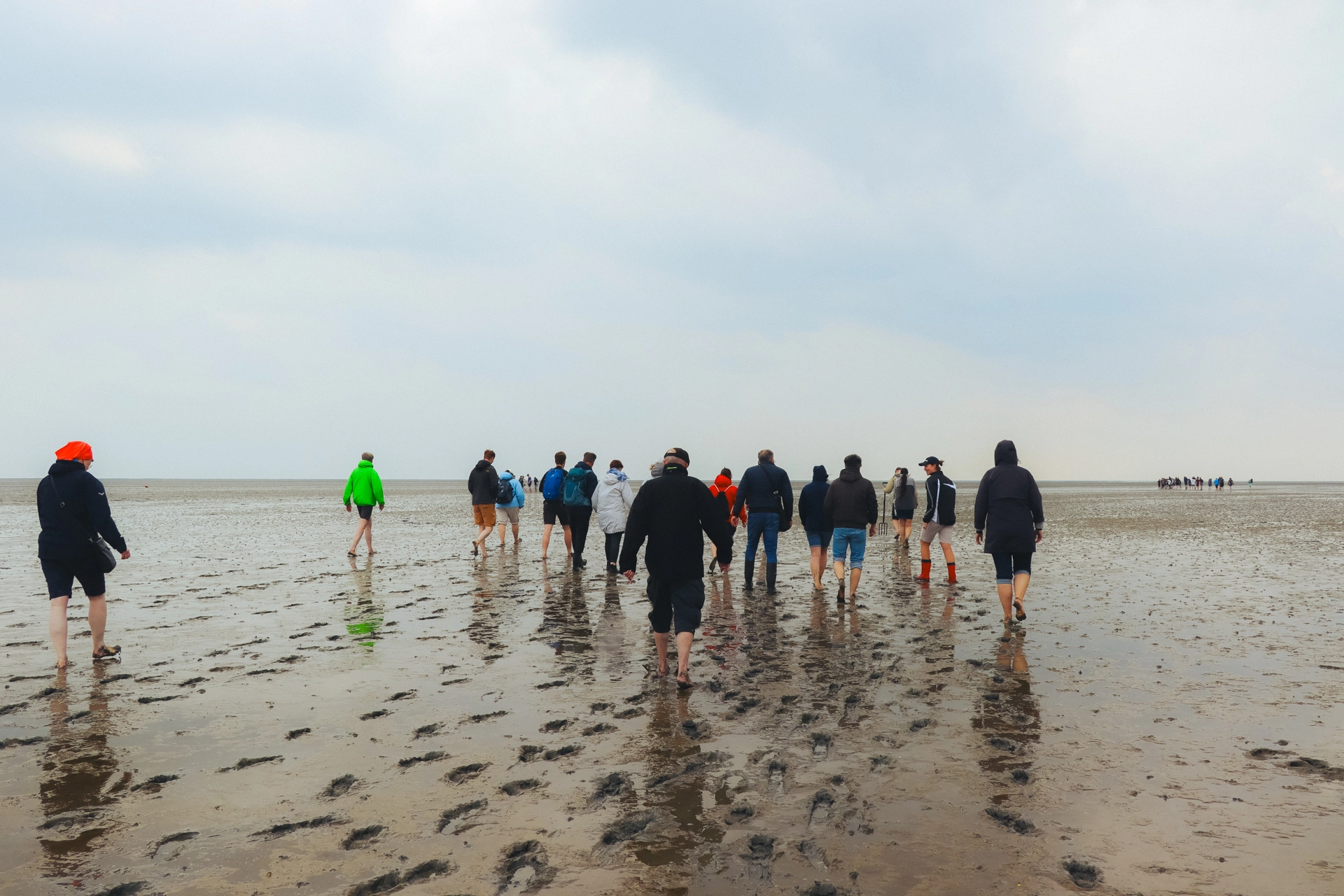 Gefuehrte Gruppe beim Wattwandern Nordsee