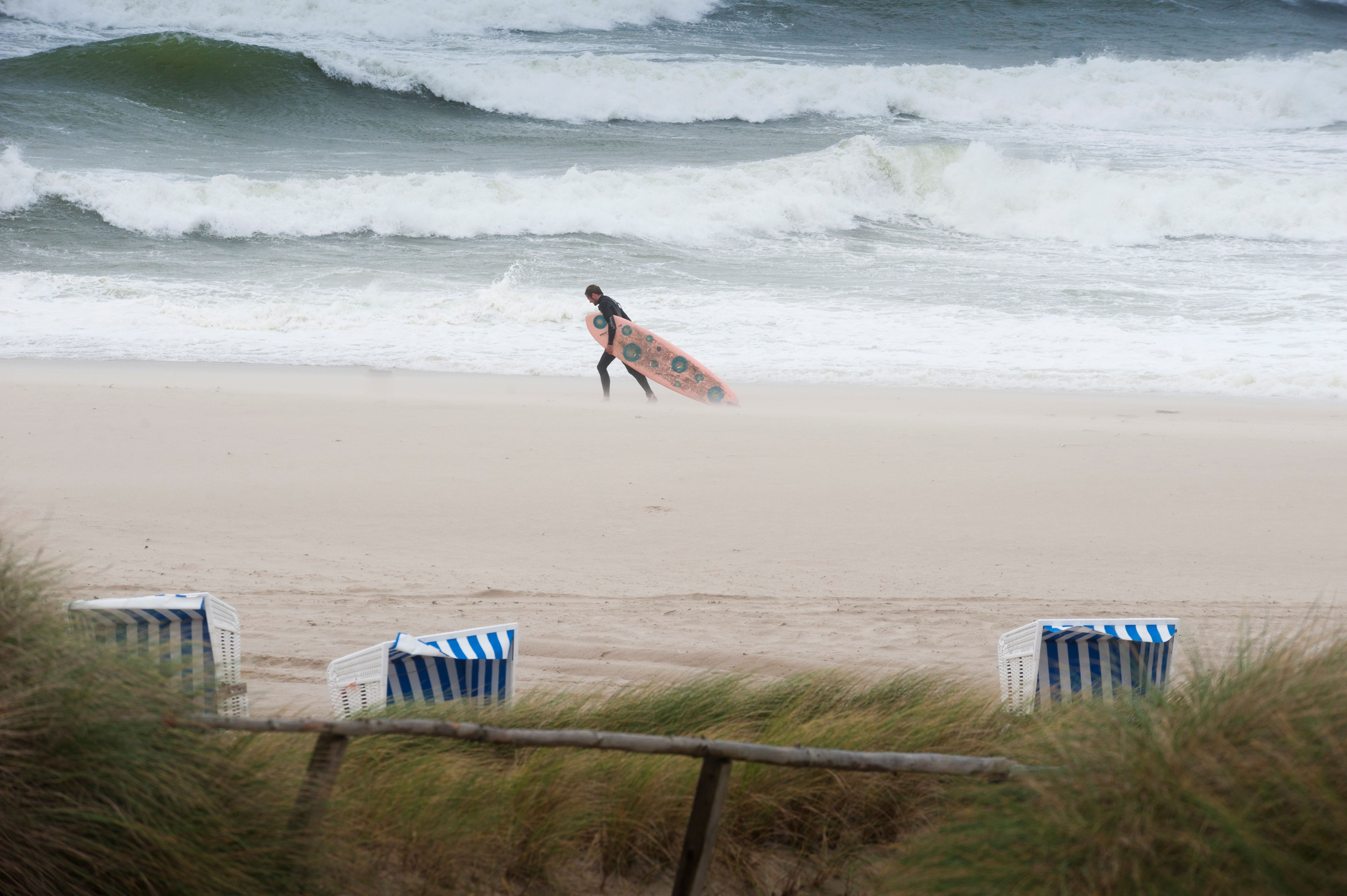 Duenengras im Wind an der Nordsee